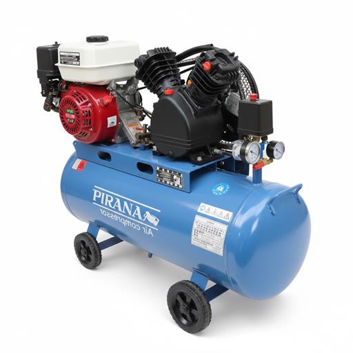 Compressor Petrol 100LT 5 5HP